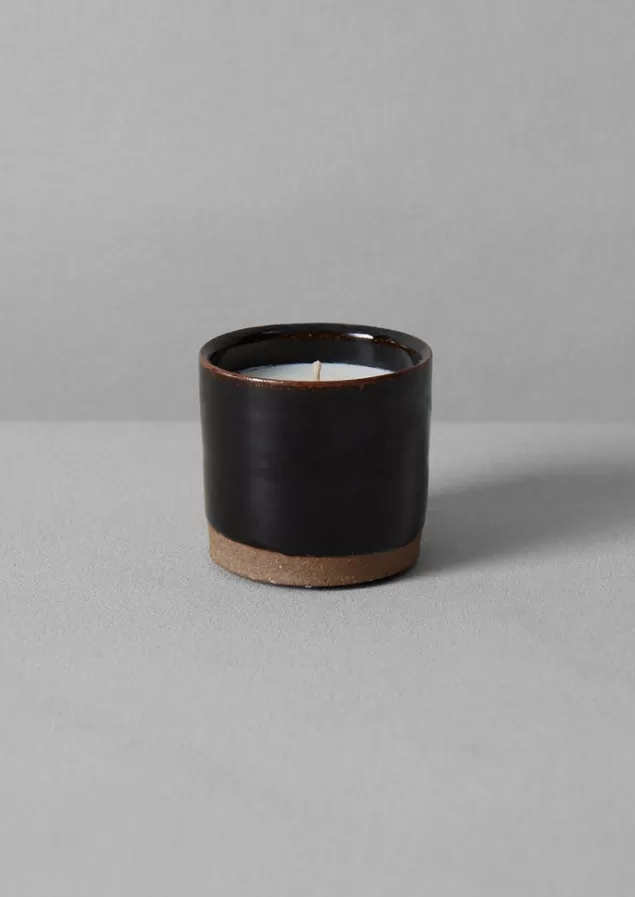 Toast Giant Fir and Mountain Juniper Scented Candle