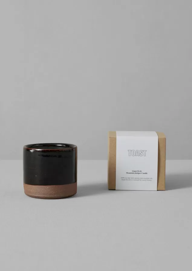 Toast Giant Fir and Mountain Juniper Scented Candle