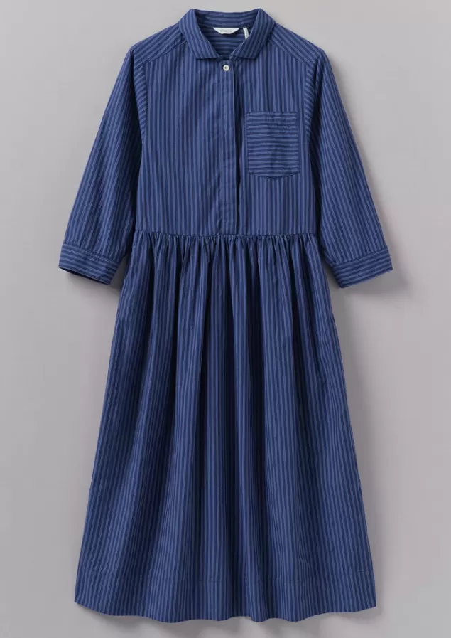 Women Toast Stripe Poplin Shirt Dress