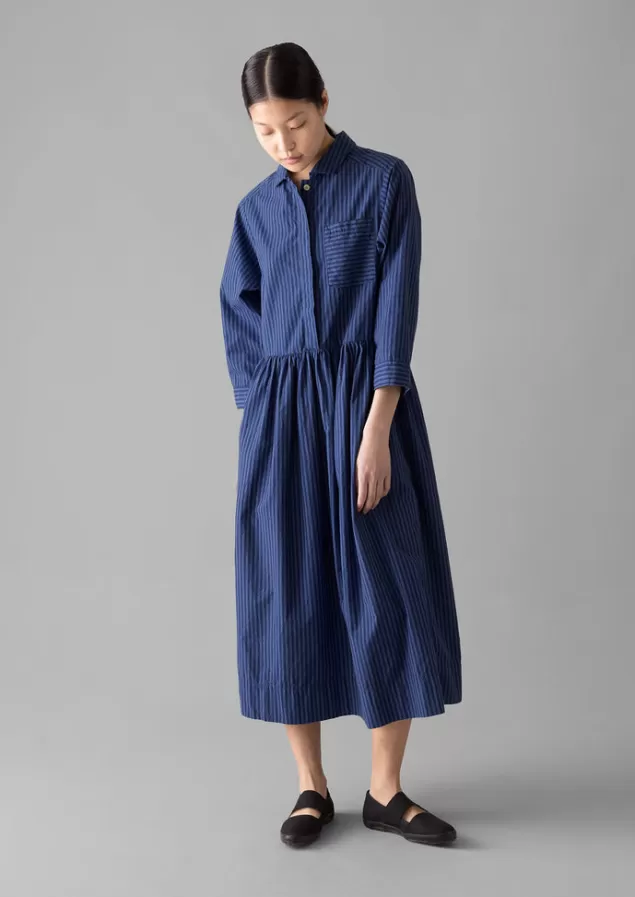 Women Toast Stripe Poplin Shirt Dress