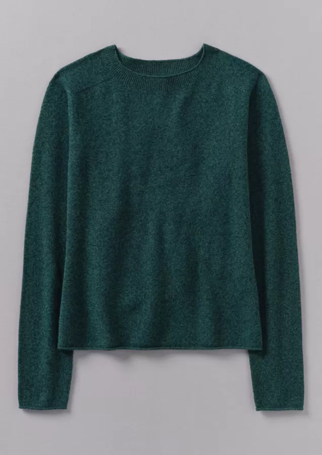 Women Toast Wool Cashmere Neat Sweater